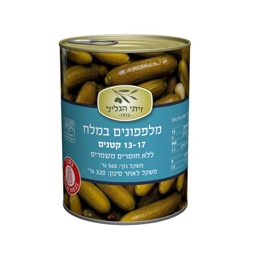 מלפפון במלח 13-17
